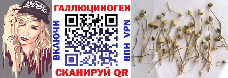 Псилоцибиновые грибы MAGIC MUSHROOMS кракен зеркало Петров Вал